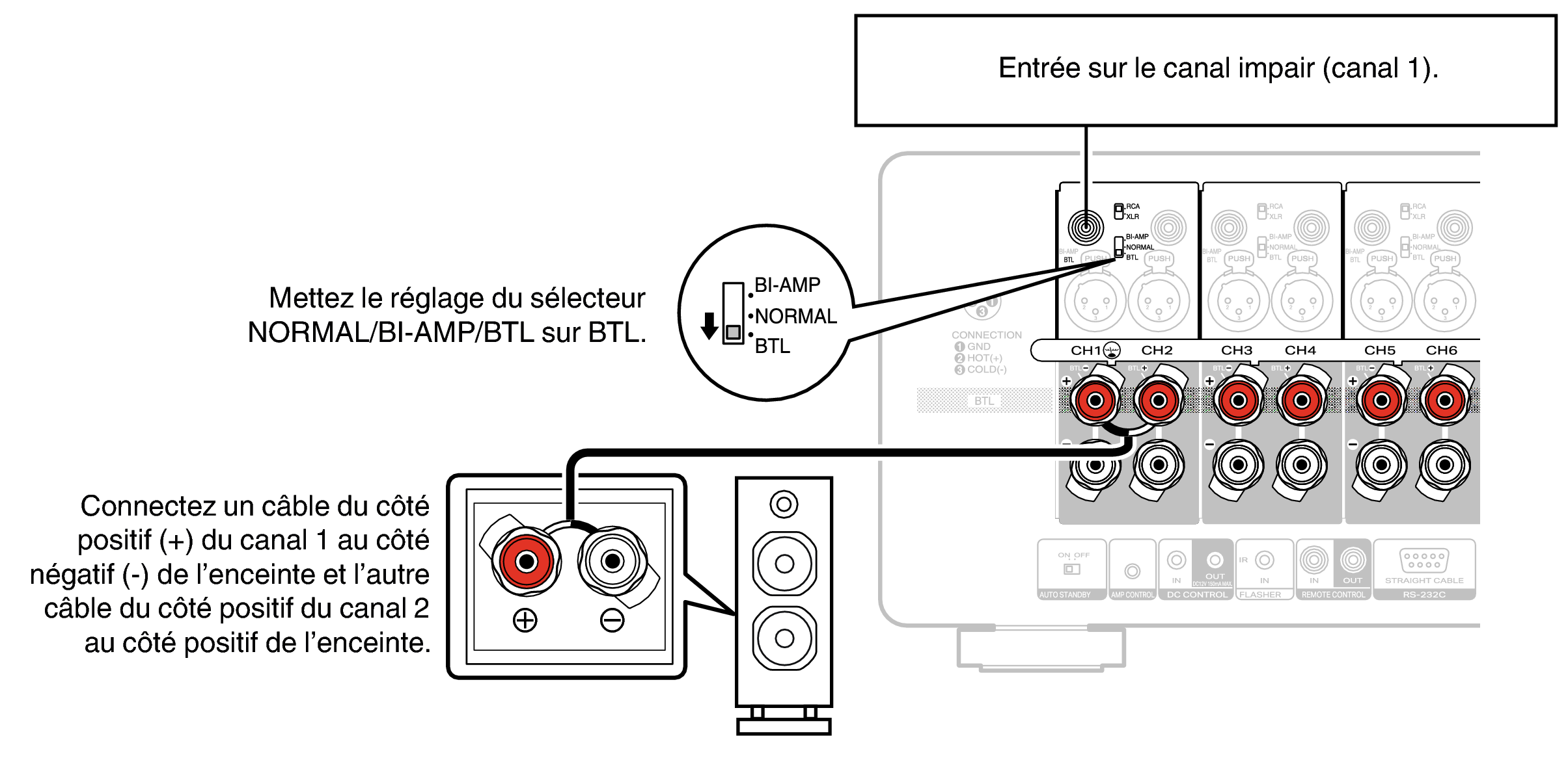 Conne SP BTL AMP20